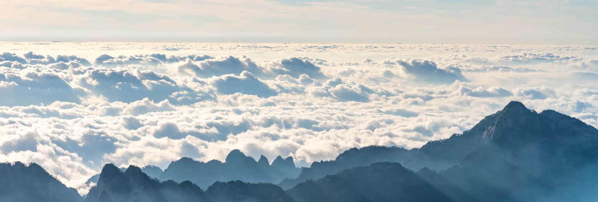 （中国）官方网站简介